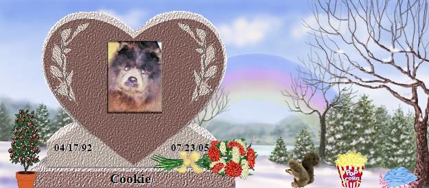 Cookie's Rainbow Bridge Pet Loss Memorial Residency Image