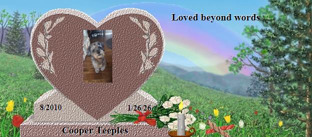 Cooper Teeples's Rainbow Bridge Pet Loss Memorial Residency Image
