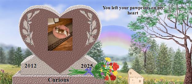 Curious's Rainbow Bridge Pet Loss Memorial Residency Image