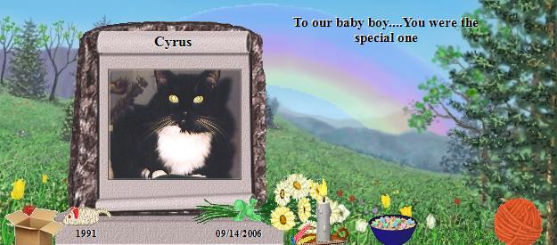 Cyrus's Rainbow Bridge Pet Loss Memorial Residency Image