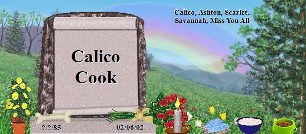 Calico Cook's Rainbow Bridge Pet Loss Memorial Residency Image