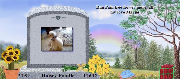 Daisey Poodle's Rainbow Bridge Pet Loss Memorial Residency Image