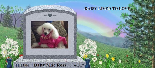 Daisy Mae Ross's Rainbow Bridge Pet Loss Memorial Residency Image