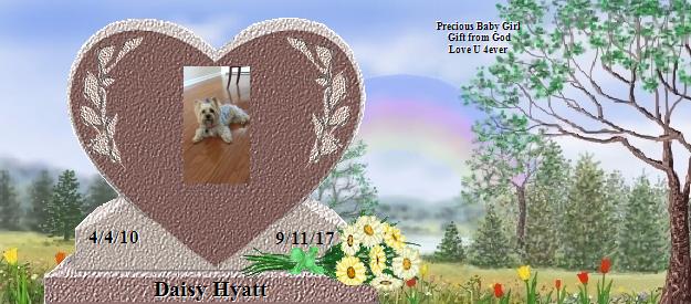 Daisy Hyatt's Rainbow Bridge Pet Loss Memorial Residency Image
