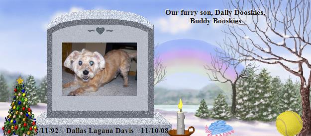 Dallas Lagana Davis's Rainbow Bridge Pet Loss Memorial Residency Image