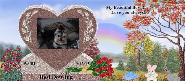 Desi Dowling's Rainbow Bridge Pet Loss Memorial Residency Image