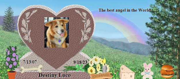 Destiny Loco's Rainbow Bridge Pet Loss Memorial Residency Image