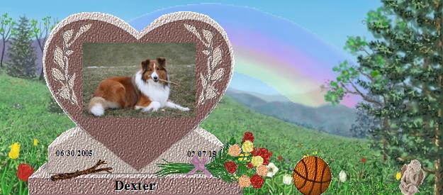 Dexter's Rainbow Bridge Pet Loss Memorial Residency Image