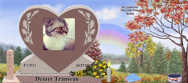 Dexter Transeau's Rainbow Bridge Pet Loss Memorial Residency Image