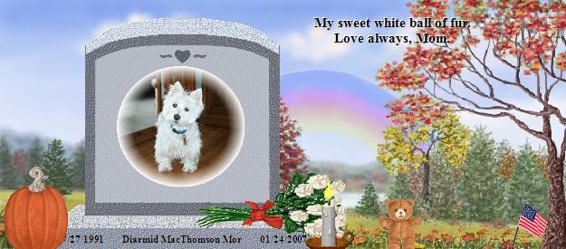 Diarmid MacThomson Mor's Rainbow Bridge Pet Loss Memorial Residency Image