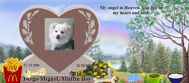 Diego Miguel, Muffin Boy's Rainbow Bridge Pet Loss Memorial Residency Image