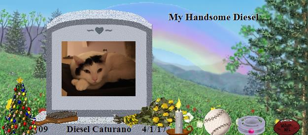 Diesel Caturano's Rainbow Bridge Pet Loss Memorial Residency Image