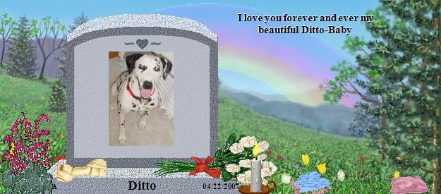 Ditto's Rainbow Bridge Pet Loss Memorial Residency Image