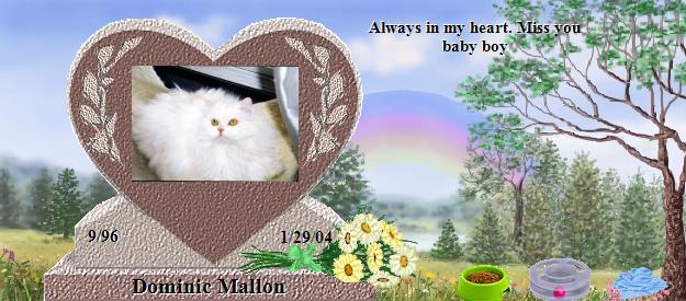 Dominic Mallon's Rainbow Bridge Pet Loss Memorial Residency Image