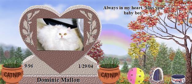 Dominic Mallon's Rainbow Bridge Pet Loss Memorial Residency Image