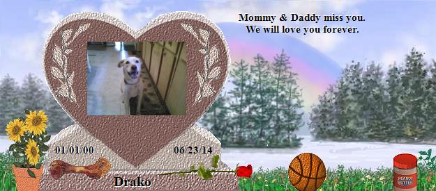 Drako's Rainbow Bridge Pet Loss Memorial Residency Image