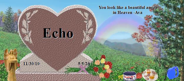 Echo's Rainbow Bridge Pet Loss Memorial Residency Image