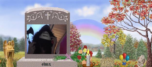 elmx's Rainbow Bridge Pet Loss Memorial Residency Image