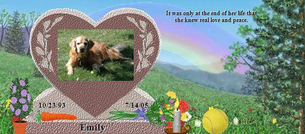 Emily's Rainbow Bridge Pet Loss Memorial Residency Image