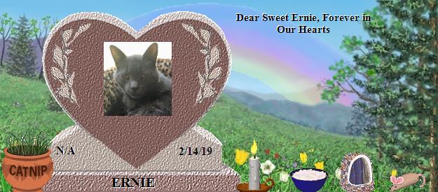 ERNIE's Rainbow Bridge Pet Loss Memorial Residency Image