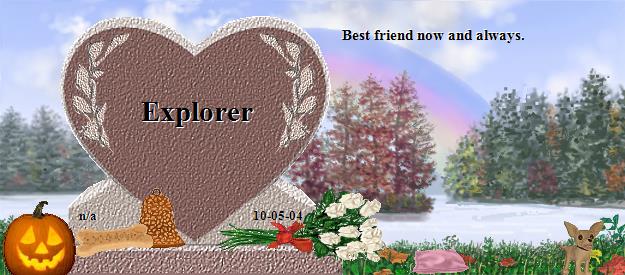 Explorer's Rainbow Bridge Pet Loss Memorial Residency Image