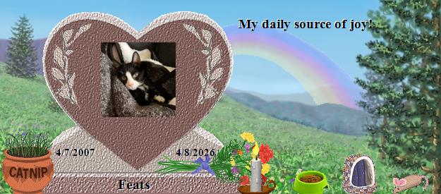 Feats's Rainbow Bridge Pet Loss Memorial Residency Image