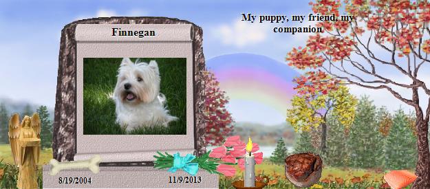 Finnegan's Rainbow Bridge Pet Loss Memorial Residency Image