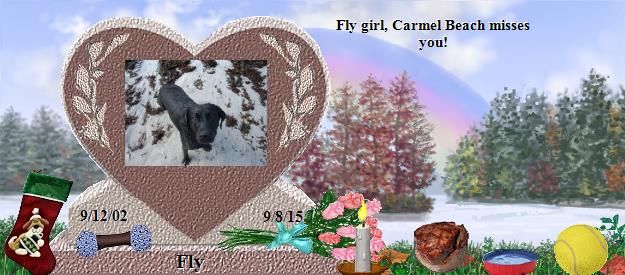 Fly's Rainbow Bridge Pet Loss Memorial Residency Image