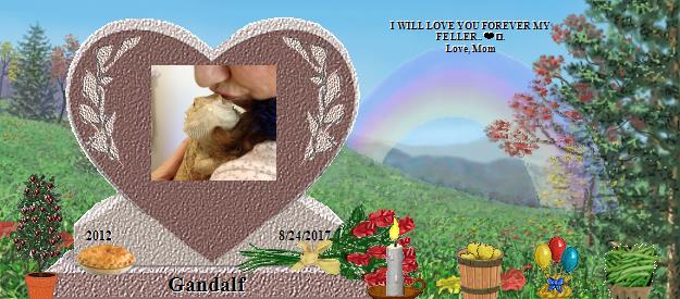 Gandalf's Rainbow Bridge Pet Loss Memorial Residency Image