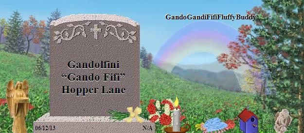 Gandolfini  “Gando Fifi” Hopper Lane's Rainbow Bridge Pet Loss Memorial Residency Image