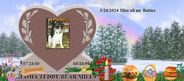 GEISHA TEDDY BEAR MILES's Rainbow Bridge Pet Loss Memorial Residency Image