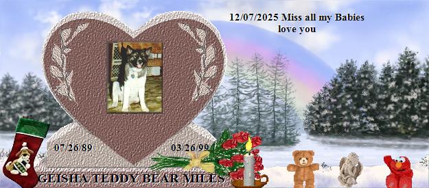 GEISHA TEDDY BEAR MILES's Rainbow Bridge Pet Loss Memorial Residency Image
