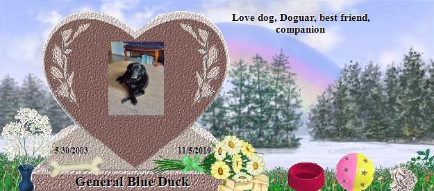 General Blue Duck's Rainbow Bridge Pet Loss Memorial Residency Image