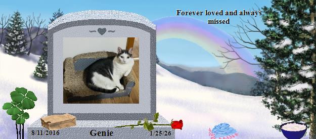 Genie's Rainbow Bridge Pet Loss Memorial Residency Image