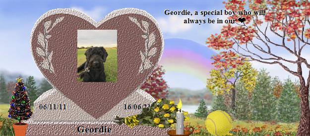 Geordie's Rainbow Bridge Pet Loss Memorial Residency Image