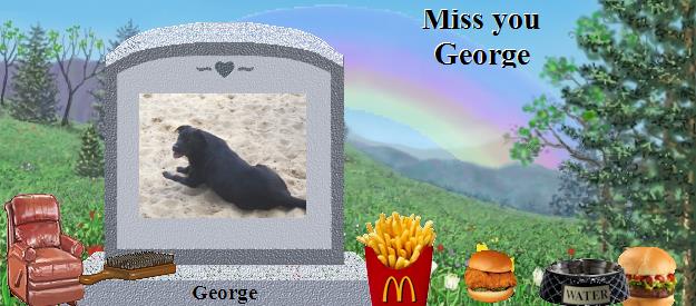 George's Rainbow Bridge Pet Loss Memorial Residency Image