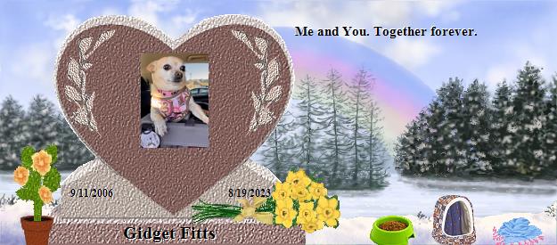 Gidget Fitts's Rainbow Bridge Pet Loss Memorial Residency Image