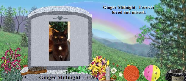 Ginger Midnight's Rainbow Bridge Pet Loss Memorial Residency Image
