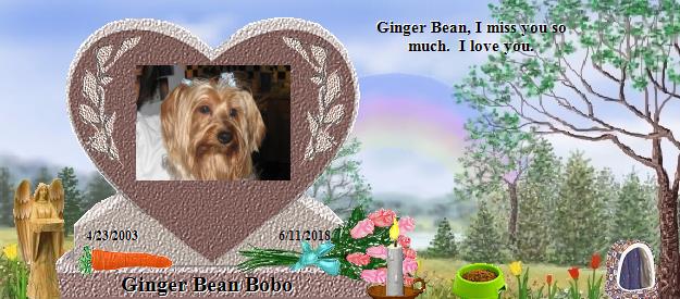 Ginger Bean Bobo's Rainbow Bridge Pet Loss Memorial Residency Image