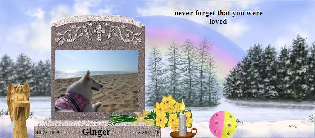 Ginger's Rainbow Bridge Pet Loss Memorial Residency Image