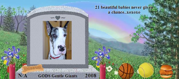 GODS Gentle Giants's Rainbow Bridge Pet Loss Memorial Residency Image