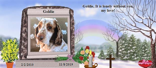 Goldie's Rainbow Bridge Pet Loss Memorial Residency Image