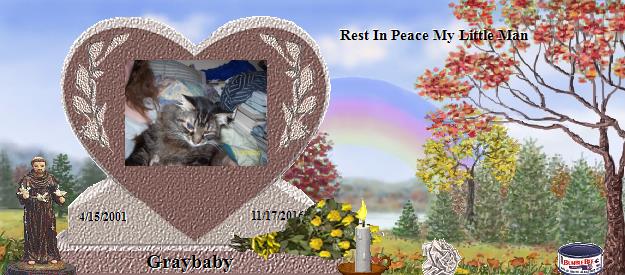 Graybaby's Rainbow Bridge Pet Loss Memorial Residency Image