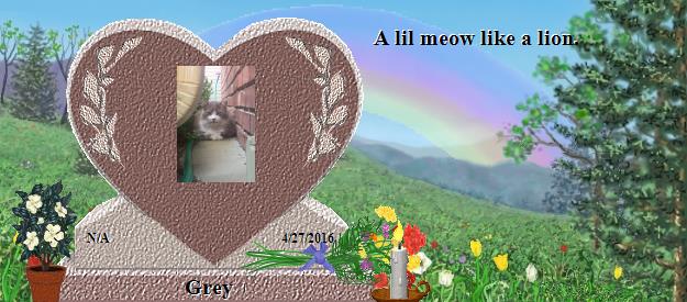 Grey's Rainbow Bridge Pet Loss Memorial Residency Image