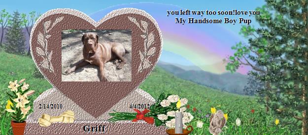 Griff's Rainbow Bridge Pet Loss Memorial Residency Image
