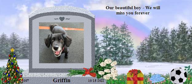 Griffin's Rainbow Bridge Pet Loss Memorial Residency Image