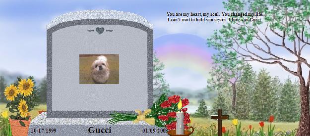 Gucci's Rainbow Bridge Pet Loss Memorial Residency Image
