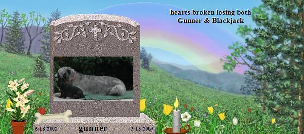 gunner's Rainbow Bridge Pet Loss Memorial Residency Image