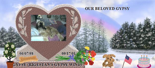GYPSY (RIGESTAN'S GYPSY WIND)'s Rainbow Bridge Pet Loss Memorial Residency Image