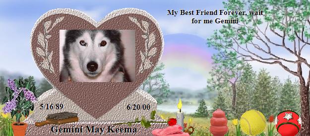 Gemini May Keema's Rainbow Bridge Pet Loss Memorial Residency Image